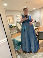 PLUS SIZE SPARKLY GLITTERY GOWN