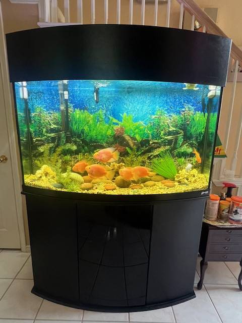 90 GALLON OCEANIC AQUARIUM+11 FISH+FUVAL FILTRATION