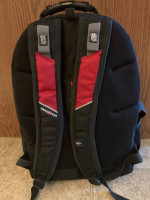 SwissGear 1900 Scansmart TSA 17-Inch Laptop Backpack, Black/Red