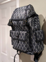 MOVING SALE! Tons of Designer Louis Vuitton & DIOR men and women backpacks and p