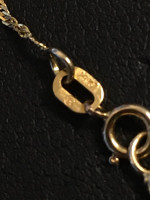 Gold chain and charm