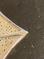 Screw back diamond earrings