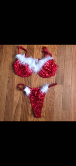 Very sexy lingerie new with tags and without tags