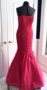 La femme paris Nordstrom Prom evening gown, pre-owned size 10