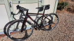 Posiden Redwood Gravel Bike