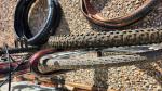 Posiden Redwood Gravel Bike