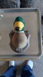 Loudmouth Mallard