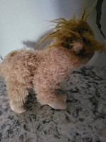 New Webkinz Alpaca HM661 With Sealed Unused Code Attached To Plush