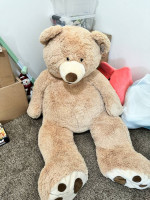 Costco 53 inch bear