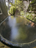 Trampoline - Springfree Lg Oval (8’x13’)
