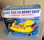 Derby Duck
