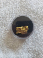 Gold Nugget