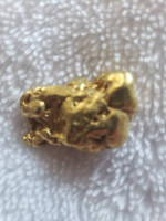 Gold Nugget