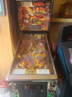 Party zone pinball machine