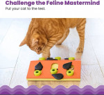 Cat IQ Toy - Lots of Fun!