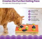 Cat IQ Toy - Lots of Fun!