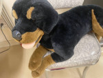 DOG TOY - STUFFED ANIMAL