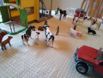 Entire Schleich Farm Playset