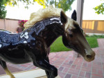 Vintage Breyer Model Horse Running Stallion Glossy Charcoal Black #126