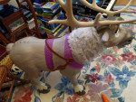 Sven the talking eating Reindeer