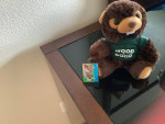 Basketball, New water bottle, New stuff toy