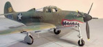P39 War Bird with OS Max 120 4 Stroke