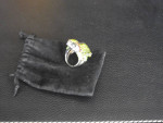 Salamander Ring