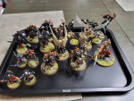 Warhammer 40k - Adepta Sororitas
