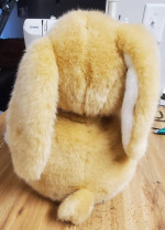 Dan Dee 11” Plush Musical Lighted Talking Easter Bunny With Two Babies