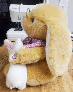 Dan Dee 11” Plush Musical Lighted Talking Easter Bunny With Two Babies