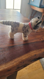 Cat steiff