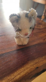 Cat steiff