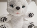 Brand New Talking Bear for Sale