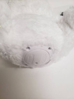 Brand New Talking Bear for Sale