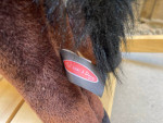 Rocking horse