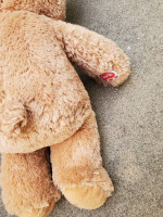 BAB Plush Bear - 17 Inch tall
