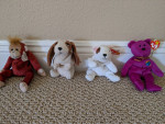 Beanie Baby Collection, some rare with errors
