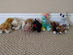 Beanie Baby Collection, some rare with errors