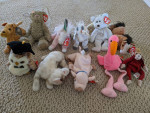 Beanie Baby Collection, some rare with errors