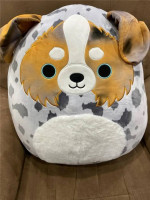 Squishmallows Puppy Dog Raylor Australian Shepherd 20" Stuffed Animal Blue Eyes