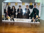 Harry Potter dolls