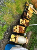 Tonka trucks