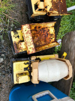 Tonka trucks