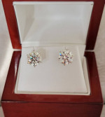 New 4ct Certified Moissanite Stud Earrings