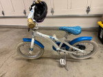 Kids Schwinn Bike