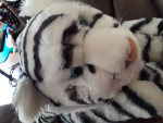Variety of Plush Toys, Elephant pillow, Marionette Puppets, Giraffe