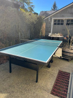 Ping Pong table