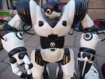 Robosapien Remote-controlled Robots Pair