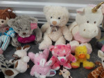 Stuffed Animals