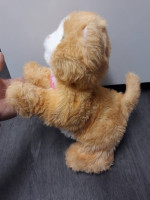 Electronic Interactive Toys